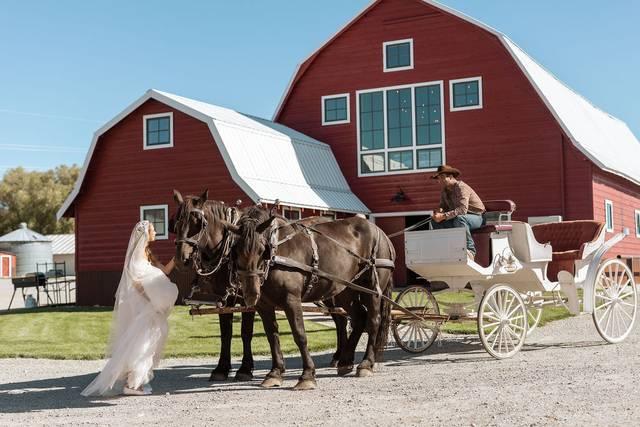 Loading the carriage