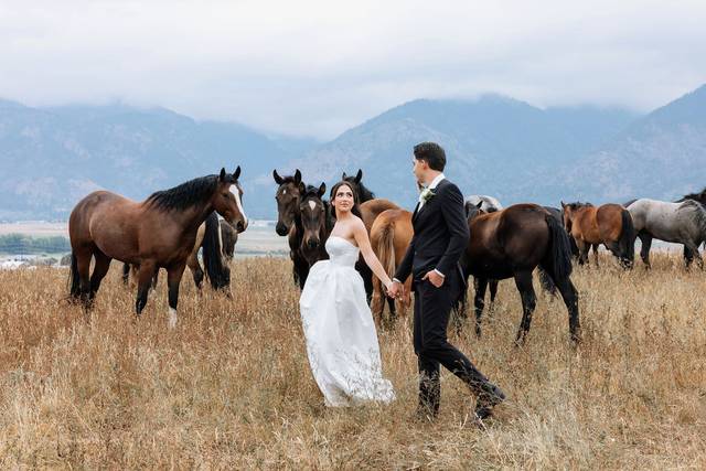 The couple with horses