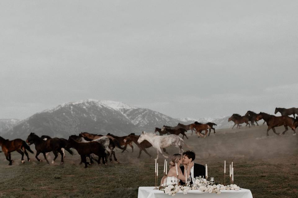 Elopement dinner views.