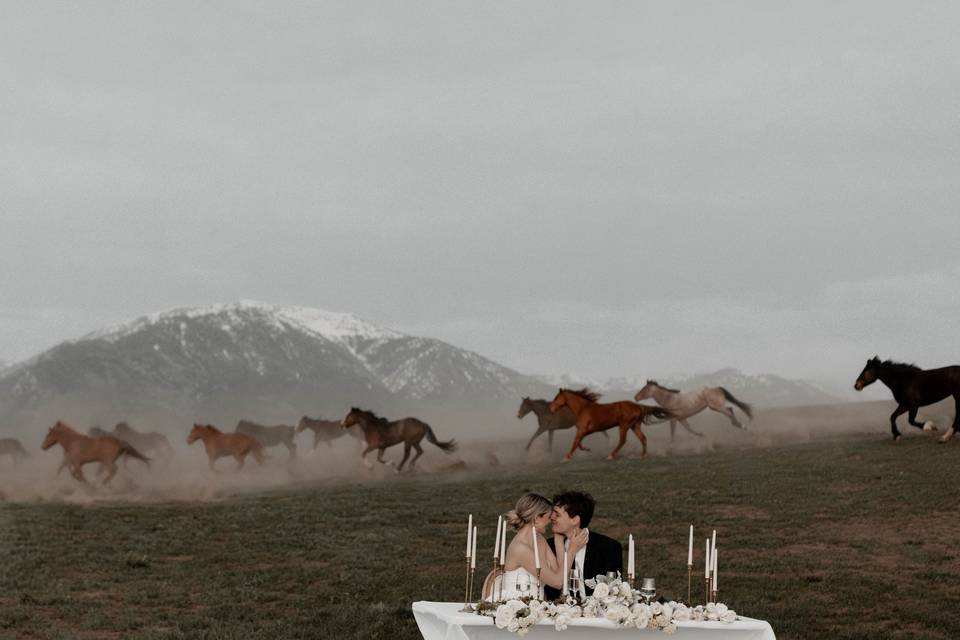Small dinner on the hill.