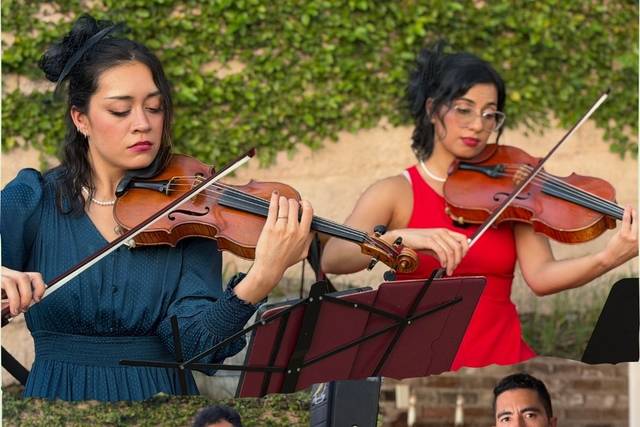Bridgerton String Quartet