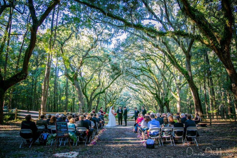 Forest wedding