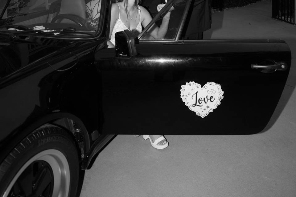 Shaez Photography