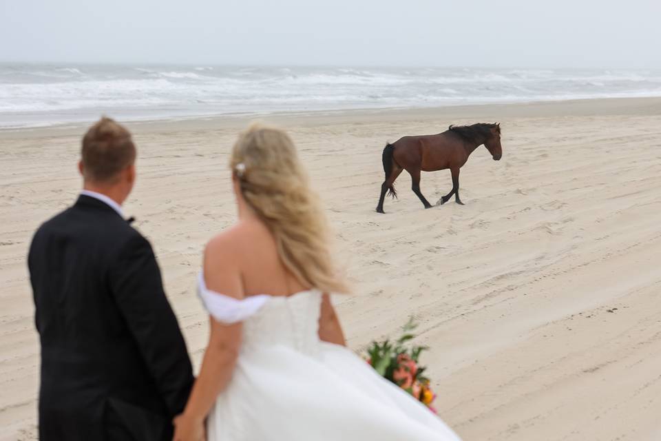 Coastal Shots Photography