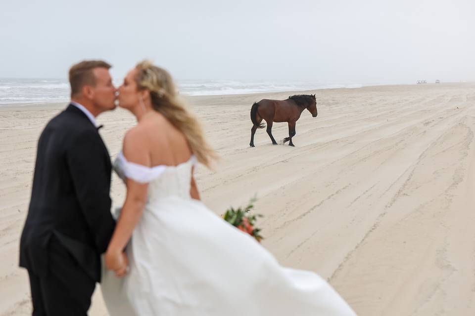 Coastal Shots Photography