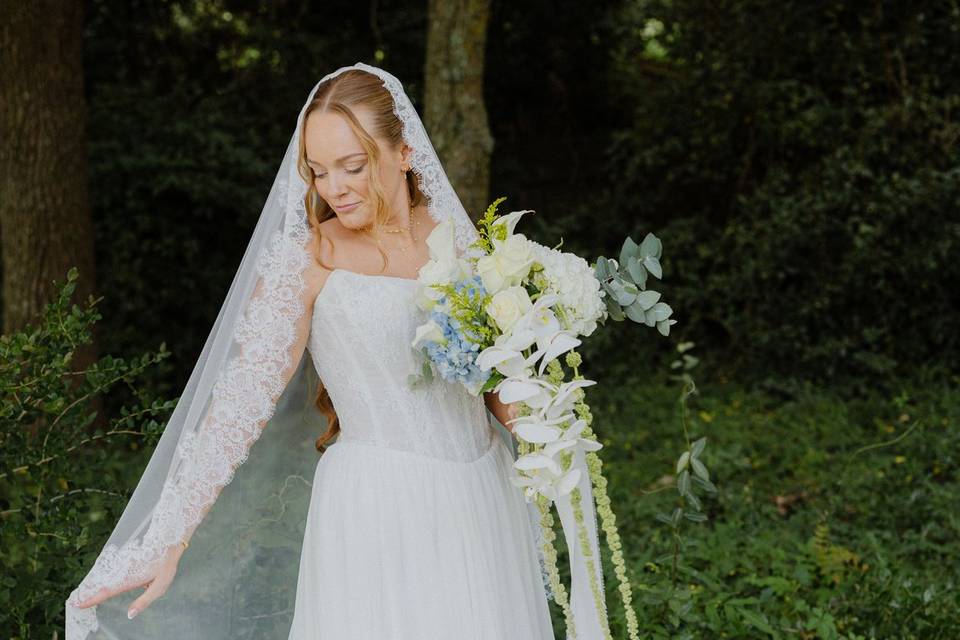 Sarah Dambra Photography