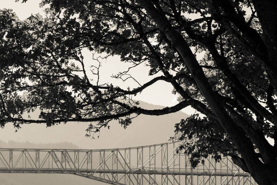 CKD Photography