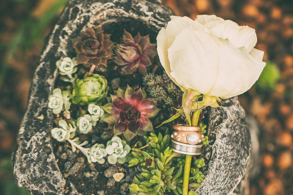 CKD Photography