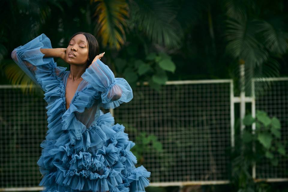 Soft ruffled tulle dress