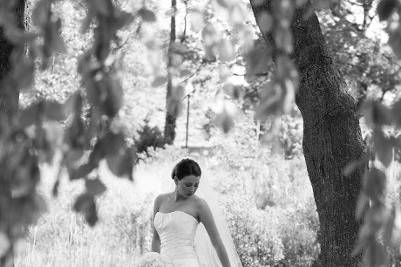 Melissa Grimes-Guy Photography
