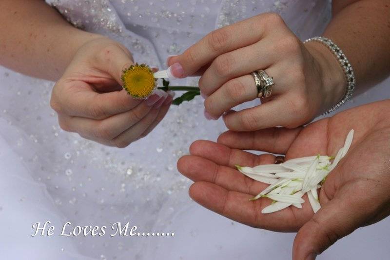 Ortman Photography and Video