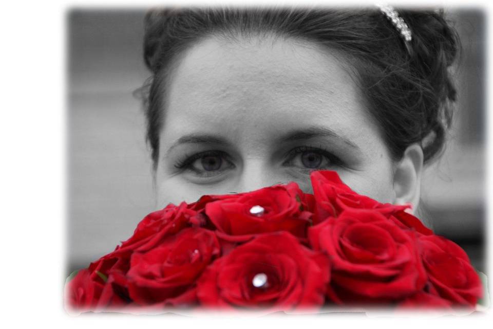 Ortman Photography and Video