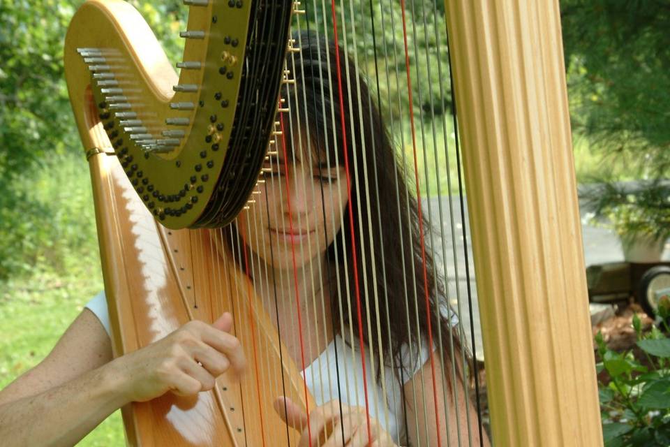 Trista Hill -- Harpist