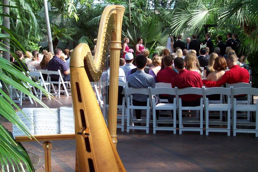 Trista Hill -- Harpist