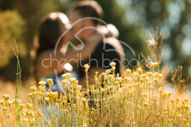 Cherith Brooke Photography