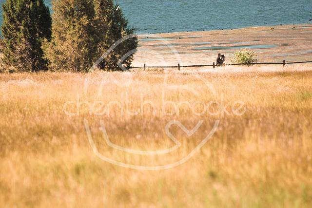 Cherith Brooke Photography
