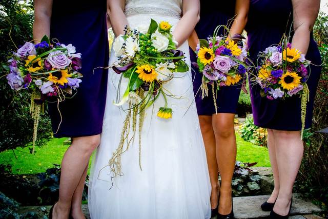 Cindy Nichols Photography