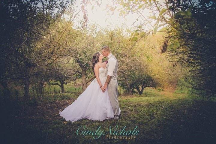 Cindy Nichols Photography