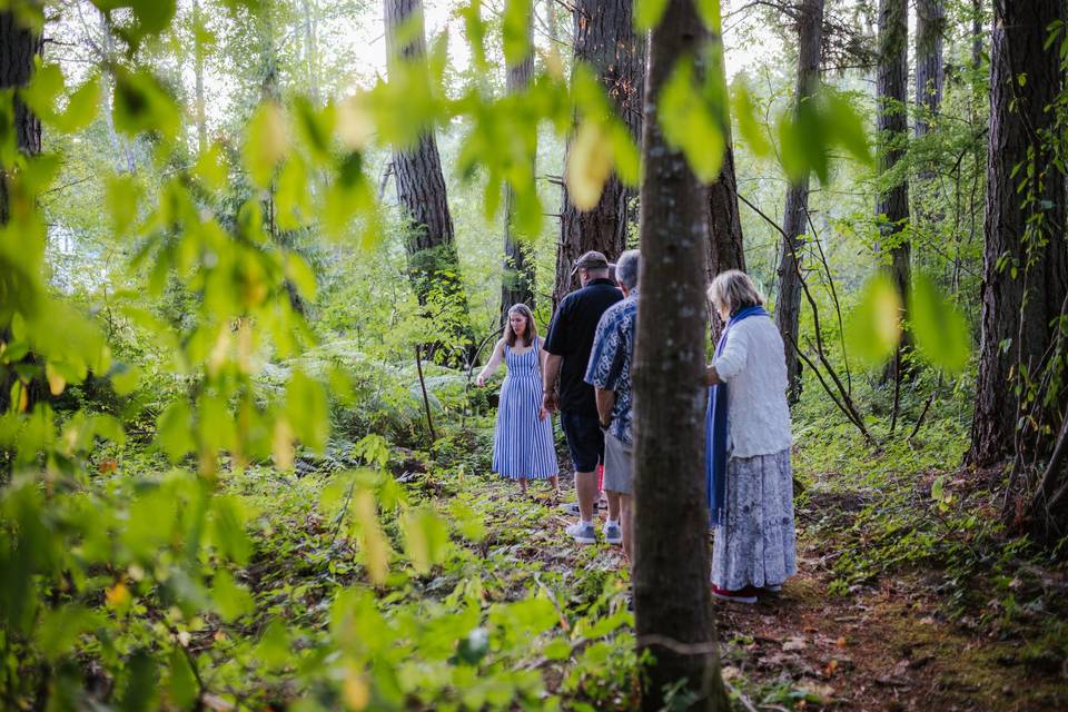 Forest clearing for cocktails