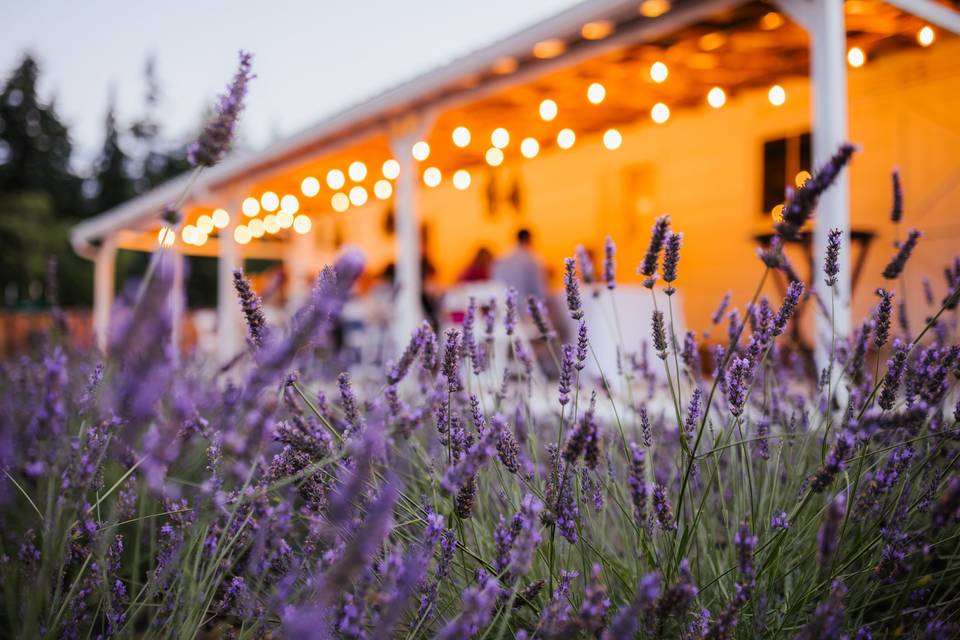 Barn Patio