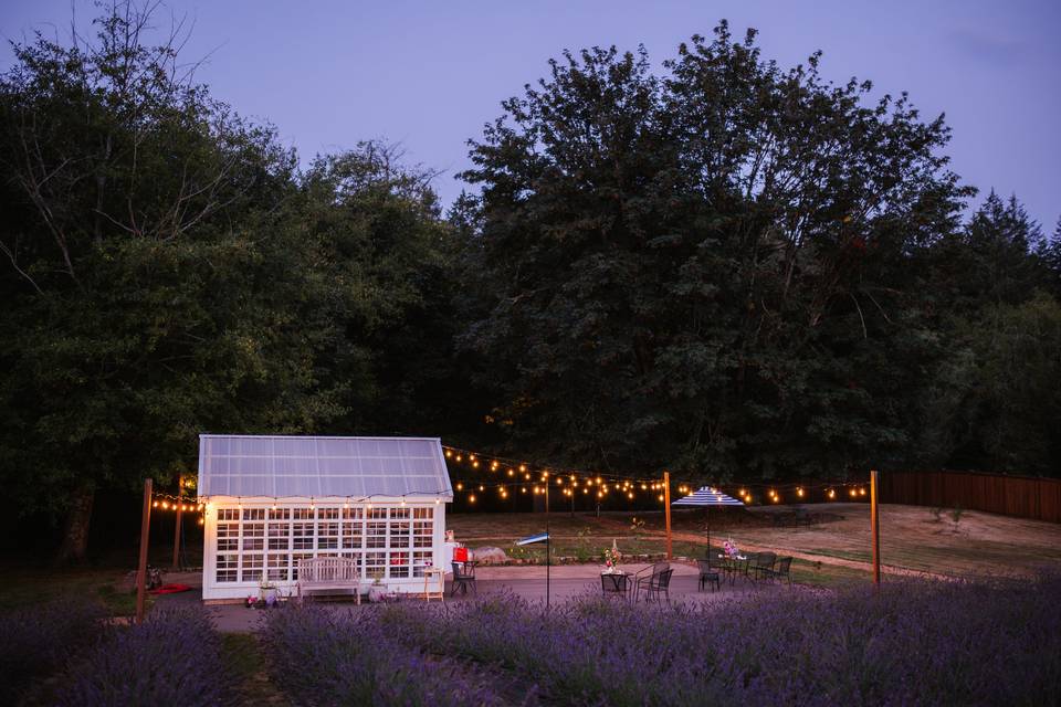 Greenhouse Courtyard