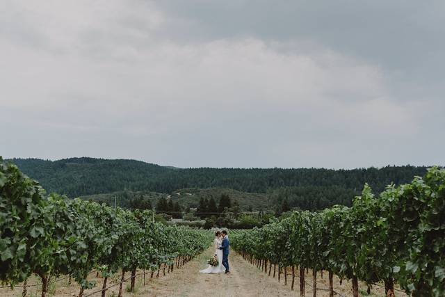 Vineyard Photos