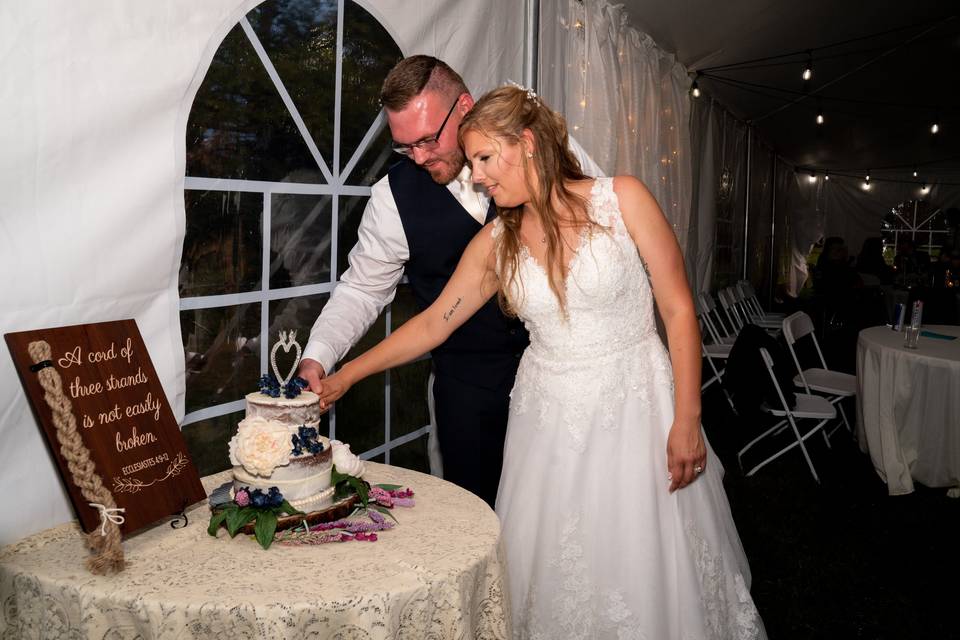 Cake cutting