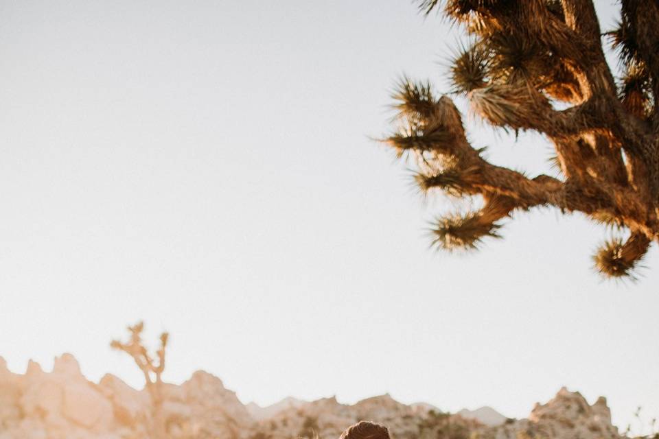 Sunlit desert portrait