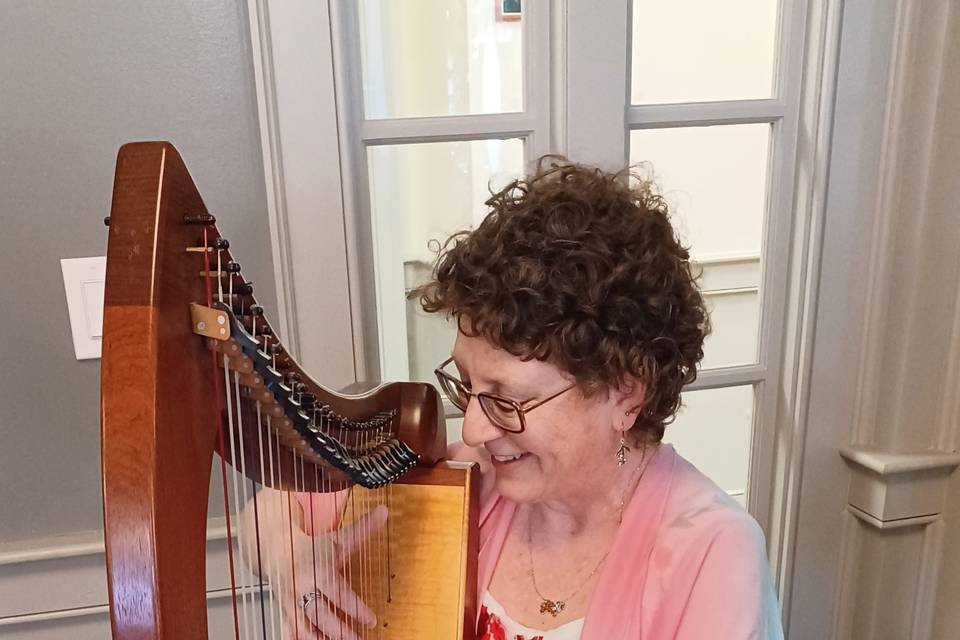 Harpist-Miriam Shilling