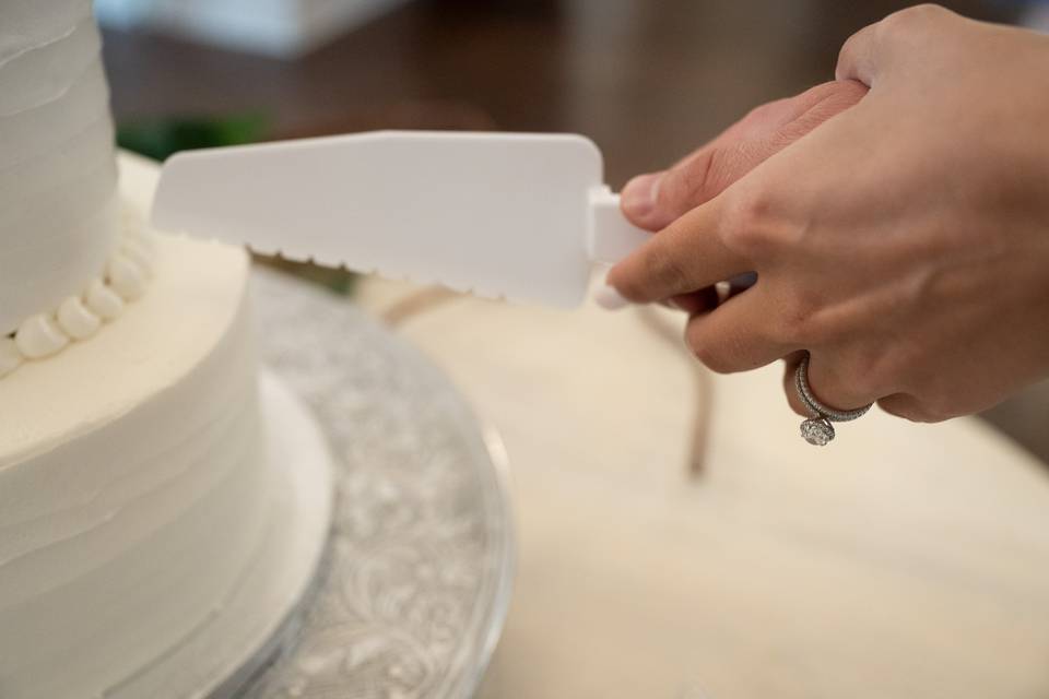 Cake Cutting - Zelina Photogra