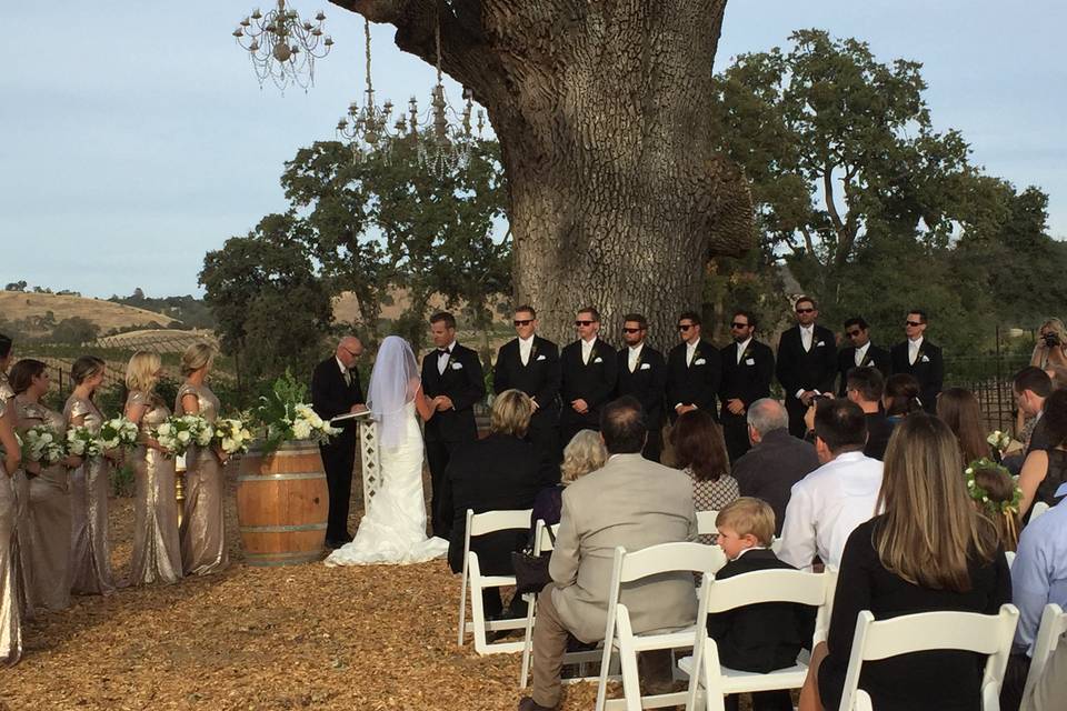 Outdoor wedding ceremony