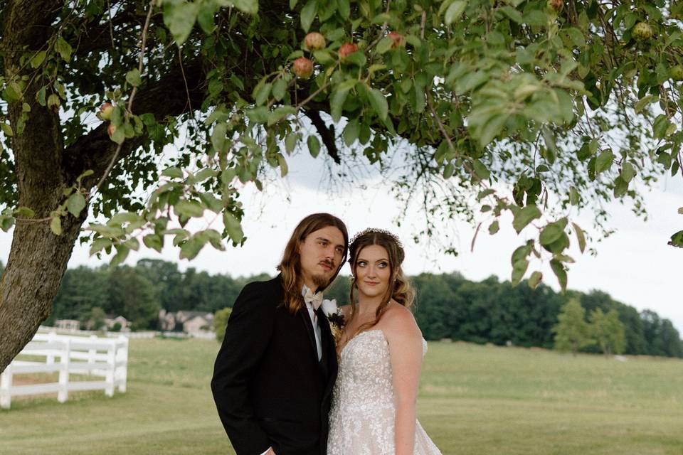 Scenic Farm Backdrop