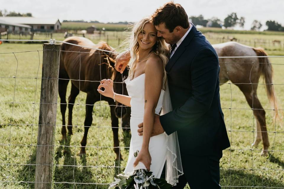 Animal Wedding photos