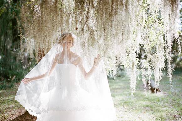 The bride in her veil