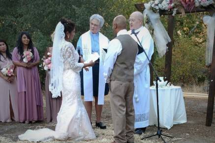 A Wedding In The Woods