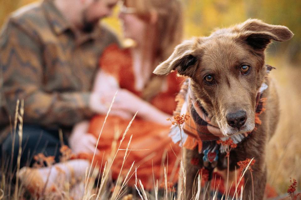 Sadie & Mike