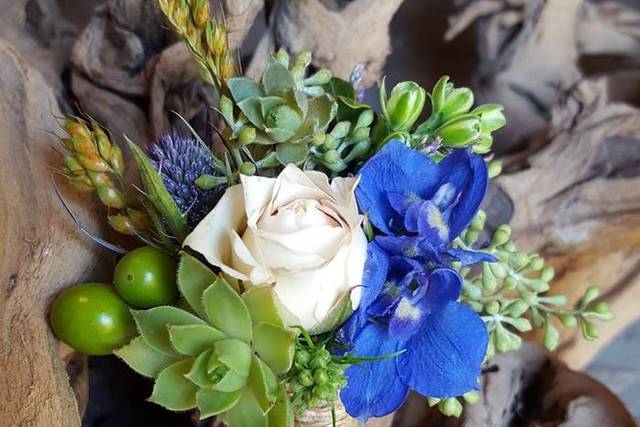 Paradise Valley Florist