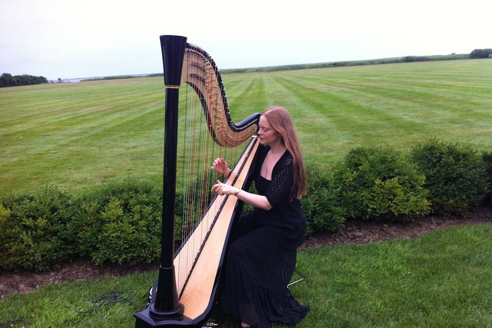 Harpist