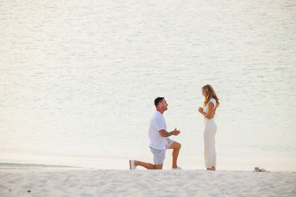 Proposals