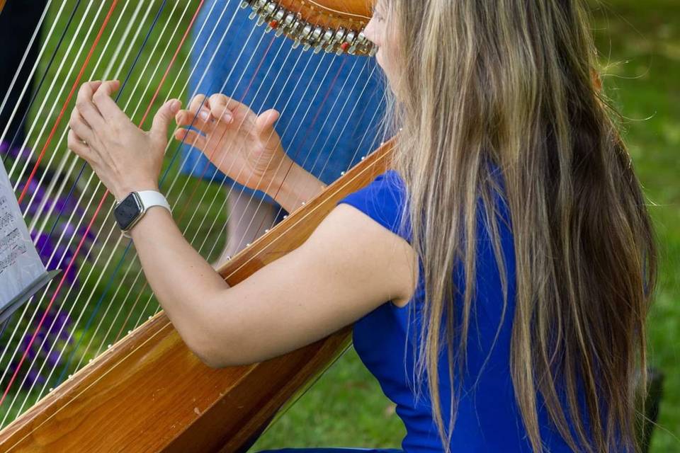 Outdoor Ceremony in Reedsville