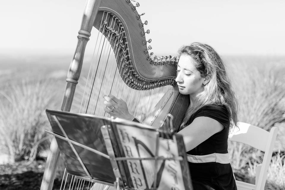 Wedding at Blue Mountain