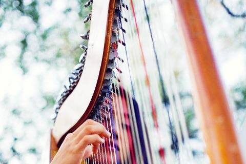 Harp Music for All Occasions