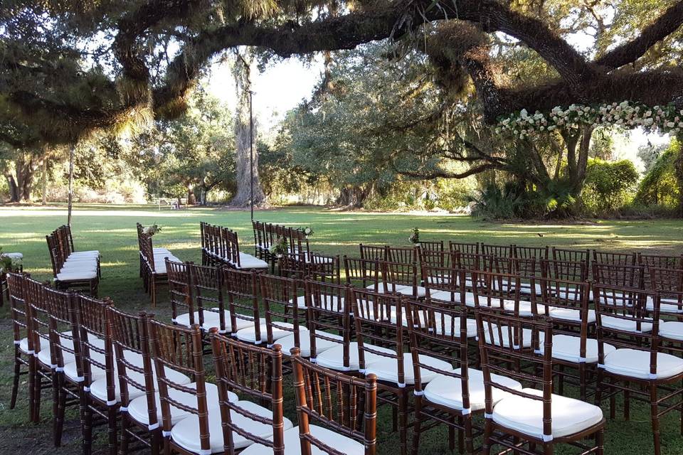 Fruitwood Chiavari Chairs