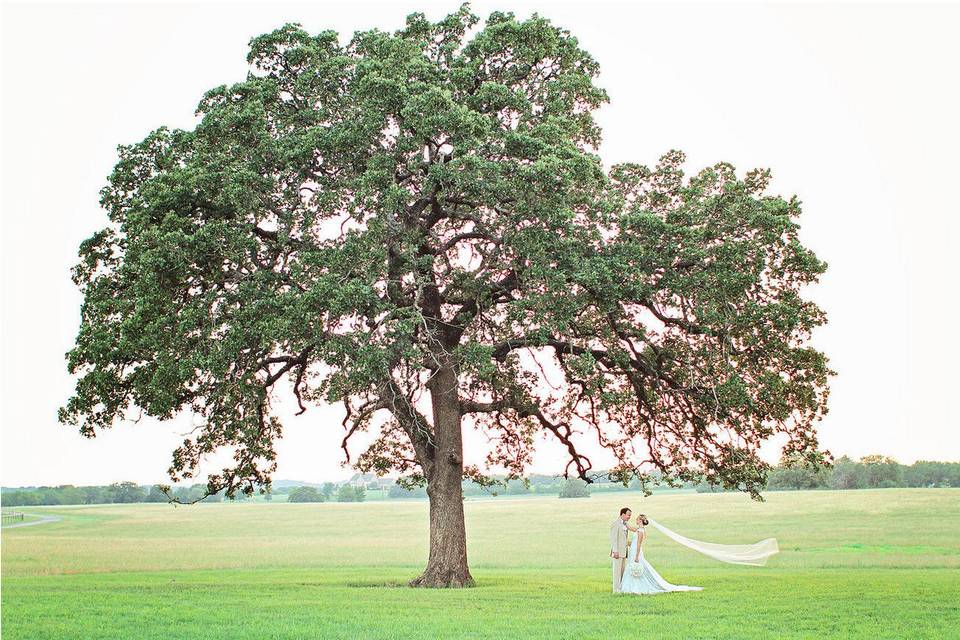 Classic Oaks Wedding and Event Venue