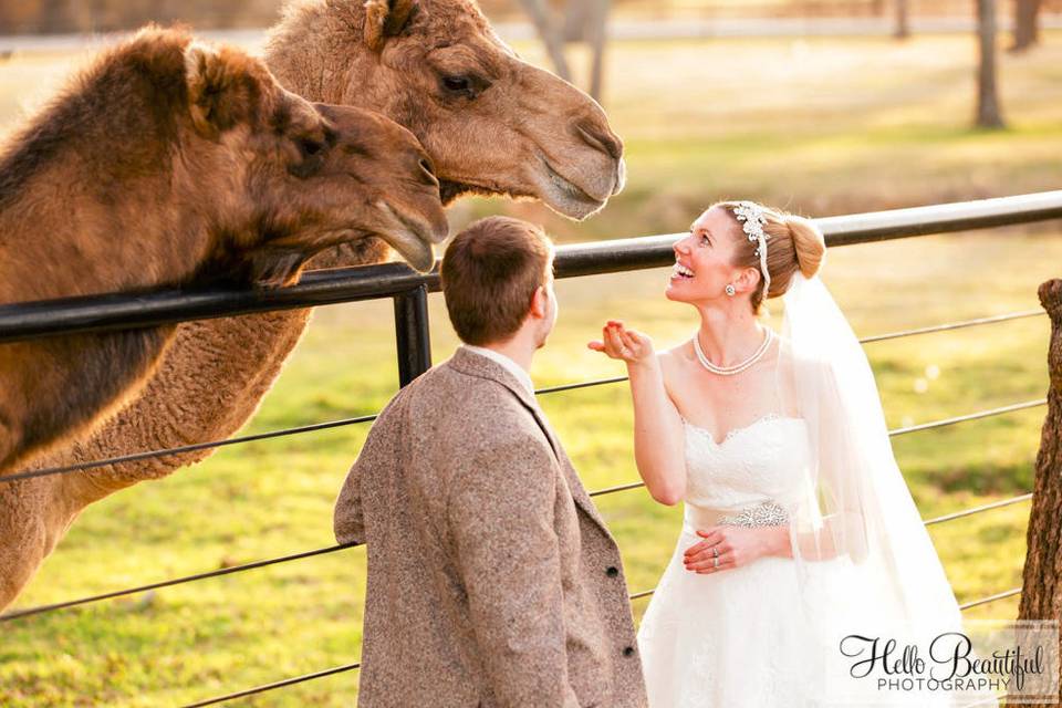 The newlyweds