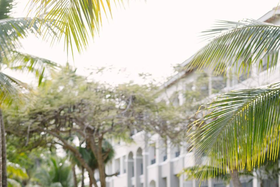 Punta Cana WeddingPhotographer
