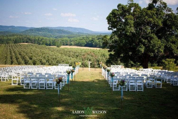 Pharsalia - Historic Weddings - Tyro, VA - WeddingWire