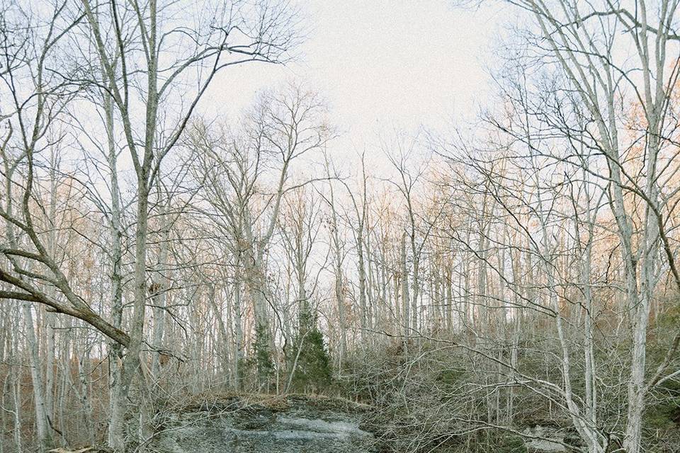 Ceremony in the woods