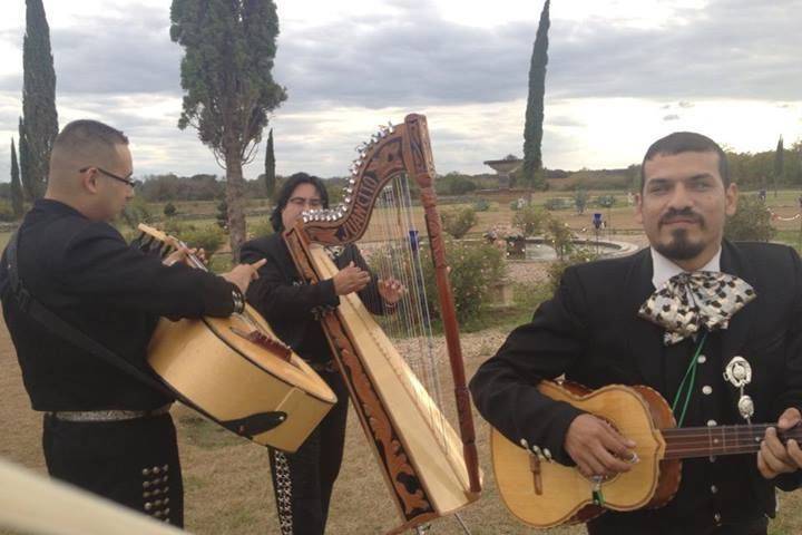 Mariachi Melodias De Mexico