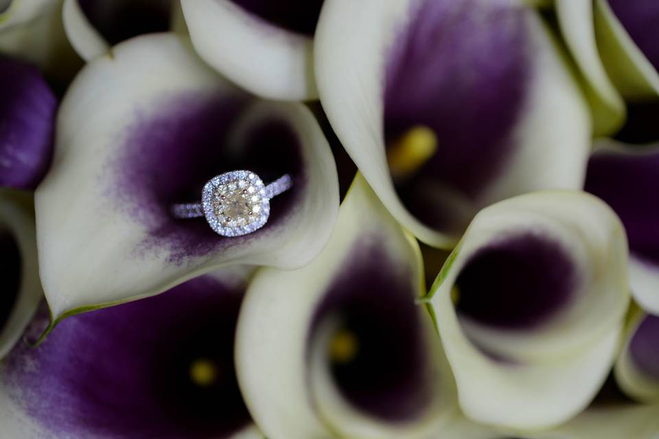 Rhea Whitney Photography